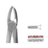 Forceps Autoclavable
