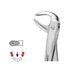 Forceps Autoclavable