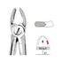 Forceps Autoclavable