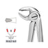 Forceps Autoclavable