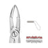 Forceps Autoclavable