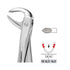 Forceps Autoclavable