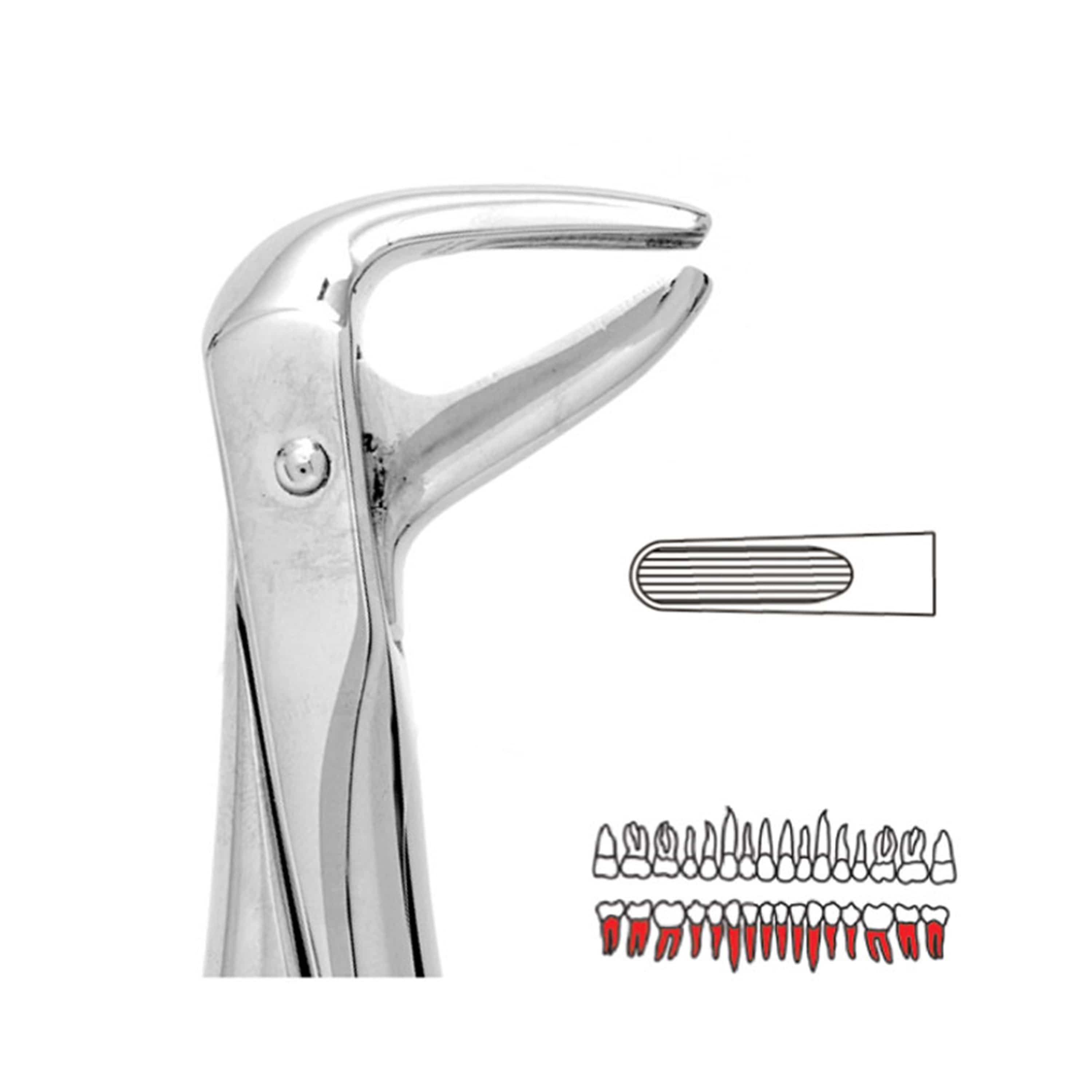 Forceps Autoclavable