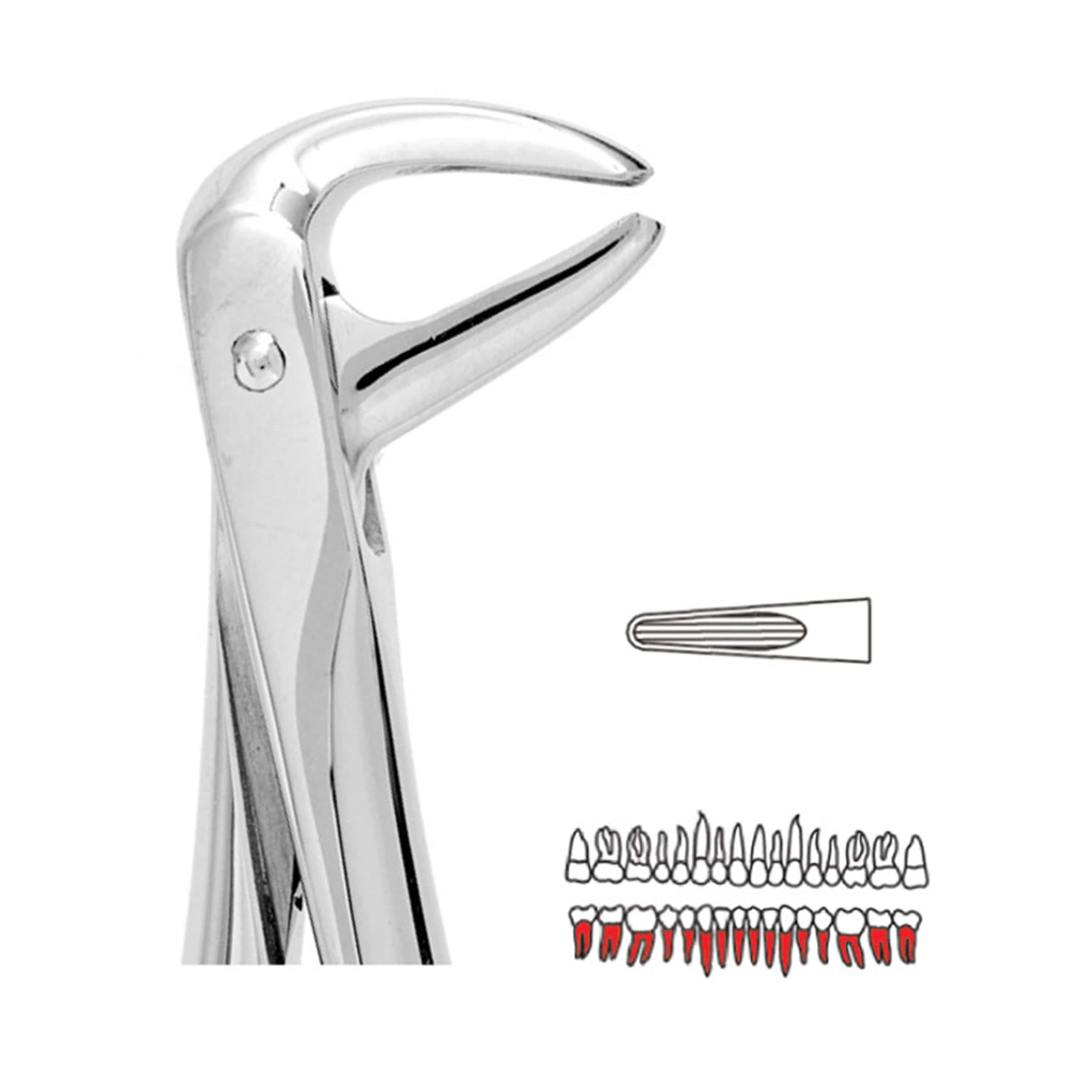 Forceps Autoclavable