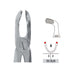 Forceps Autoclavable
