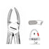 Forceps Autoclavable