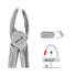 Forceps Autoclavable