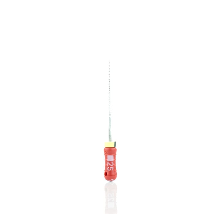 *CLEARANCE* Dentsply Readysteel K-FlexoFile: 21mm - 25 (6) EXPIRY 05/2026